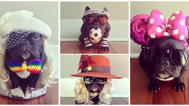 (c) mashable, instagram 