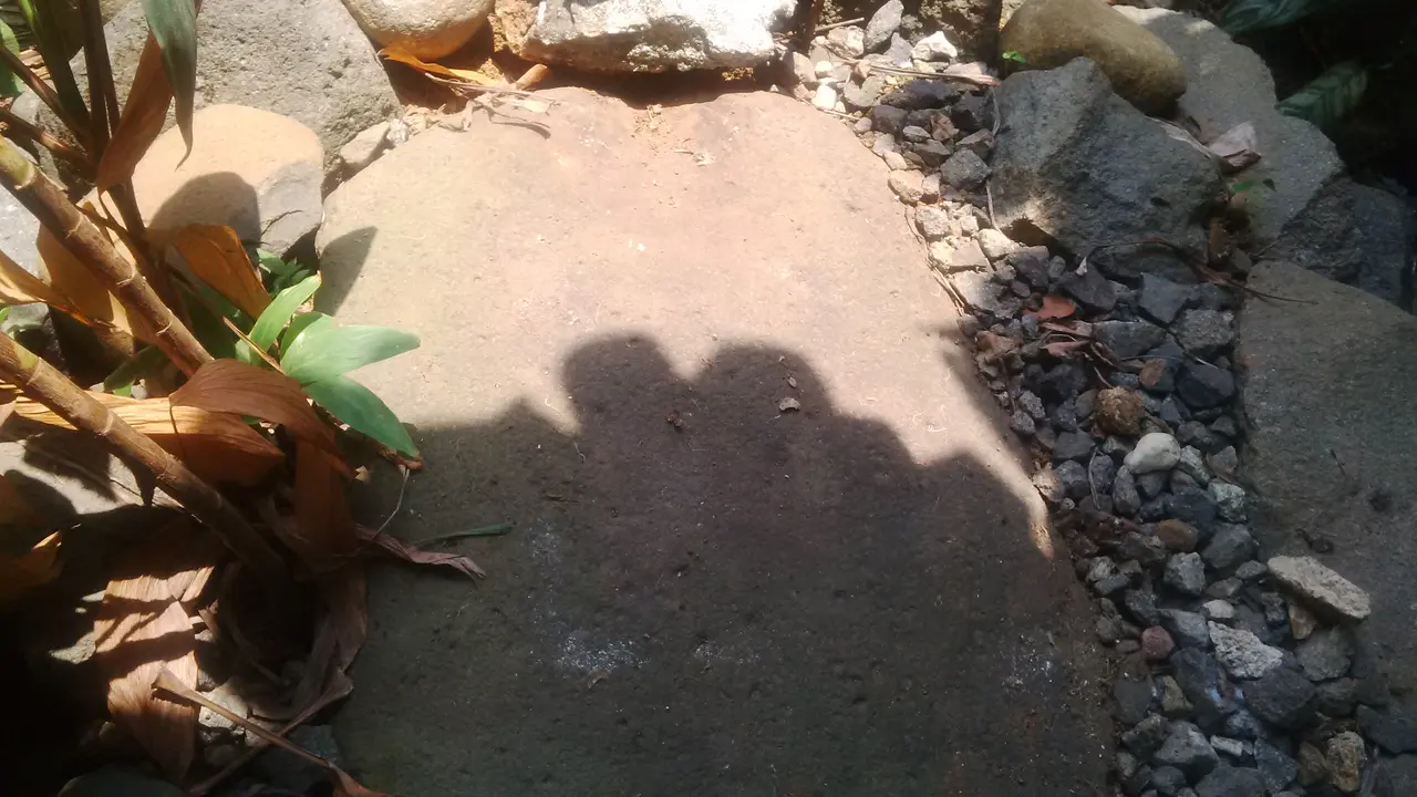 Benda Cagar Budaya, Batu Guling Kuthadani Raib