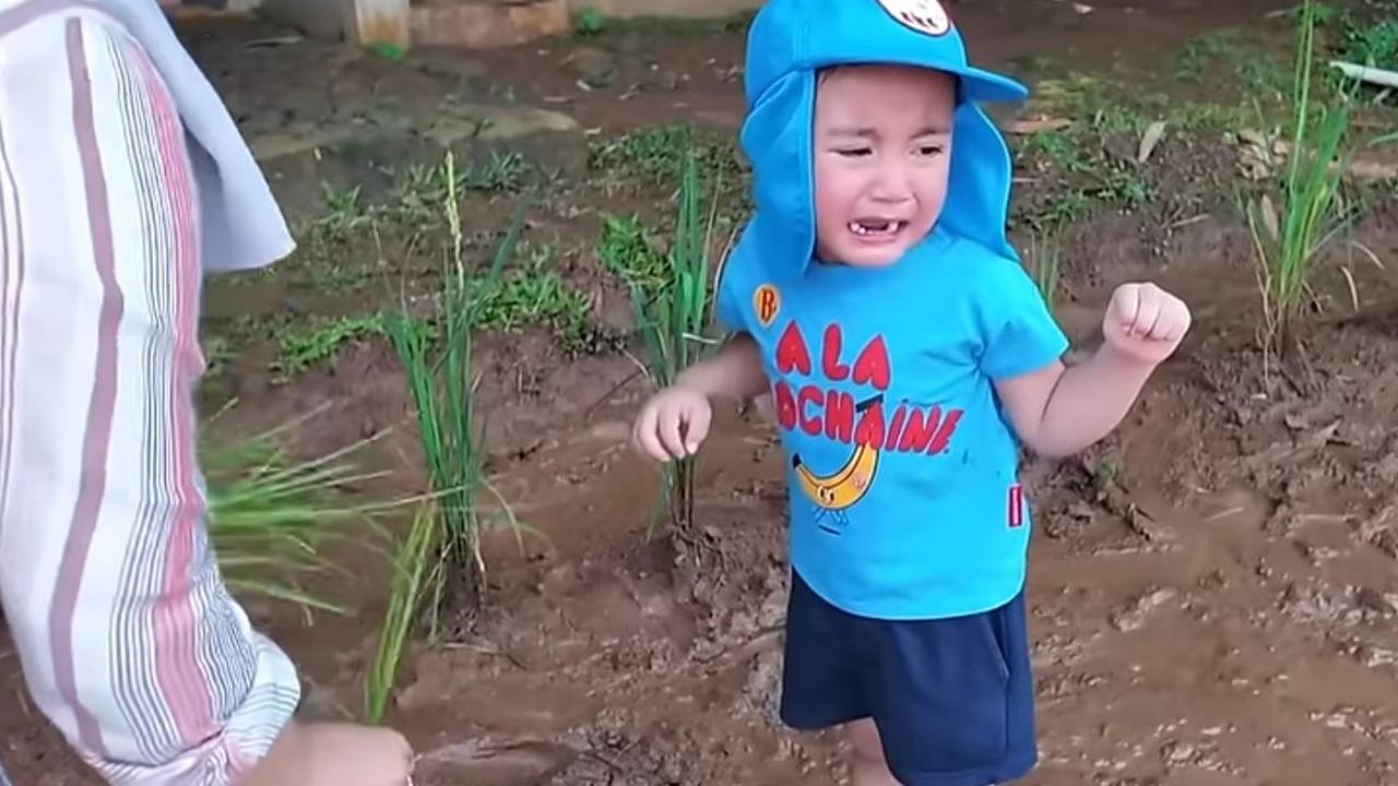 Potret Rayyanza Histeris Diajak Menanam Padi di Sawah, Gemas Banget Akhirnya Minta Maaf Karena Ketakutan
