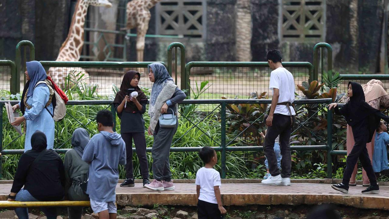 FOTO: Peringatan Maulid Nabi, Ragunan Diserbu Pengunjung
