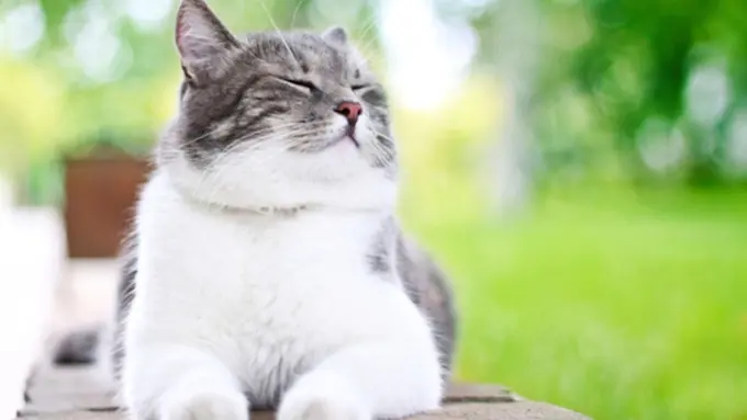 Copyright by Thinkstock.com