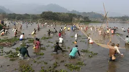 Ratusan warga ikut ambil bagian dalam acara menjaring ikan pada perayaan Festival Bhogali Bihu di Danau Goroimari, sekitar 50 km dari Guwahati di India, Sabtu (13/1). Festival ini dirayakan di negara bagian Assam, India.  (AFP PHOTO / Biju Boro)