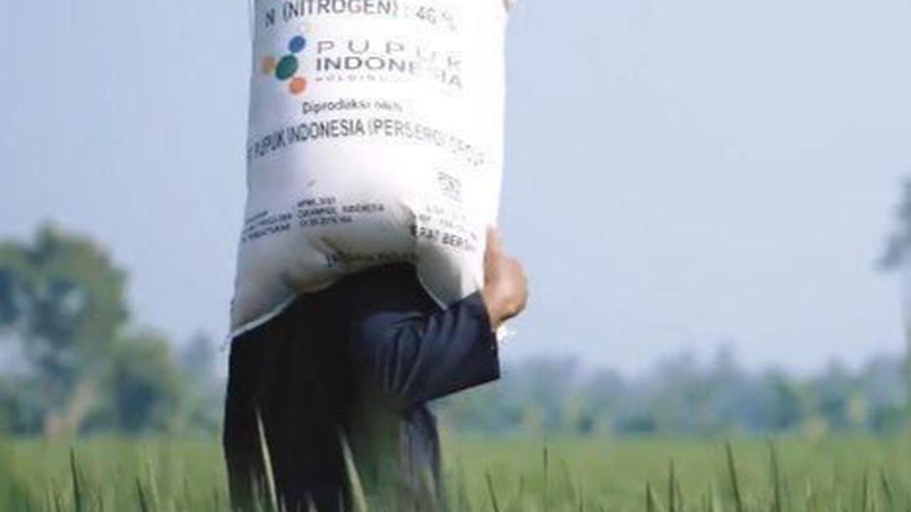 Sawah Pertanian