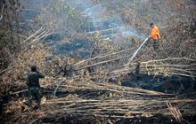 Melihat lebih dekat pemadaman kebakaran hutan Palangkaraya