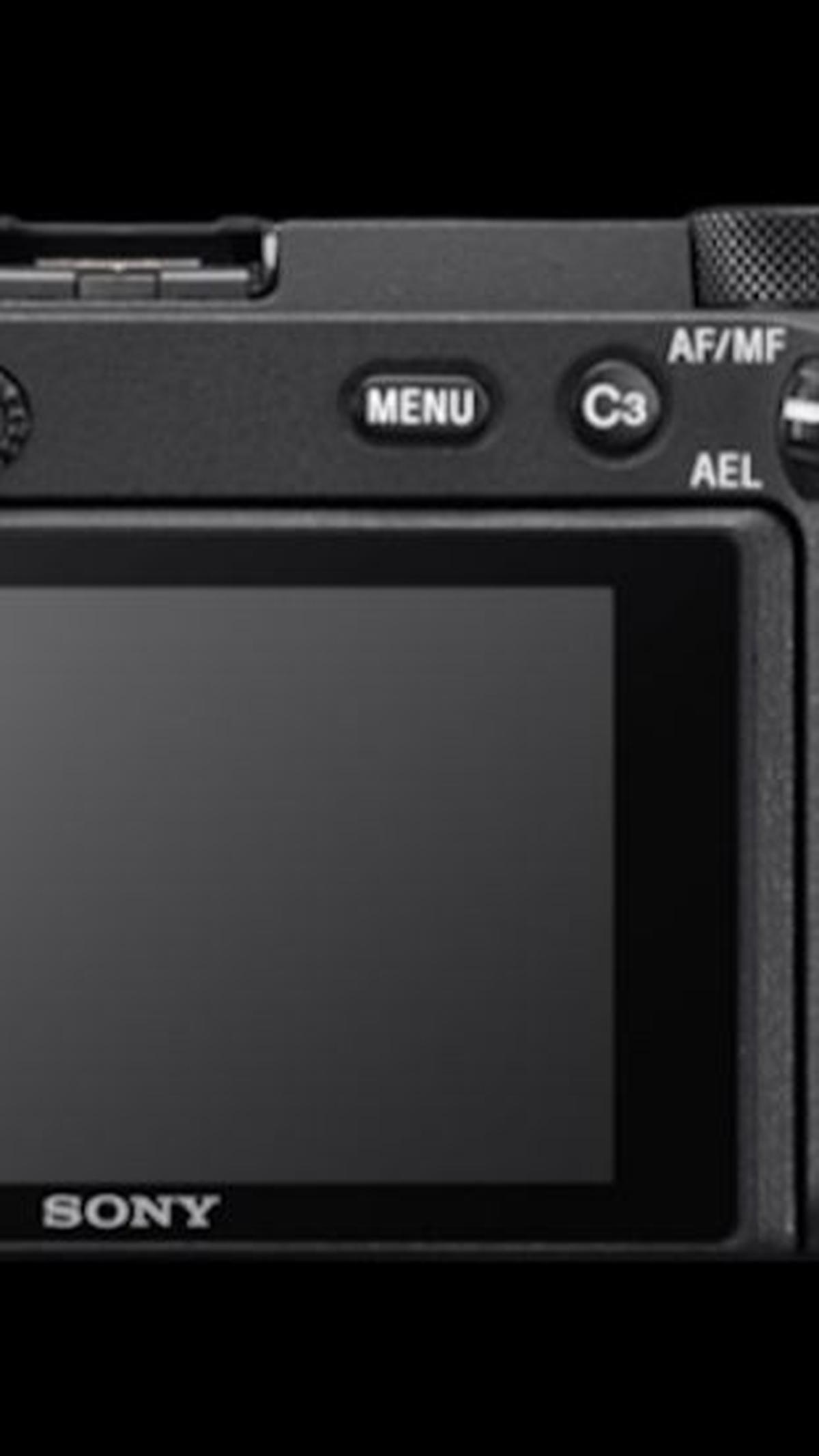 <b>Sony Series Alpha 6600</b>
