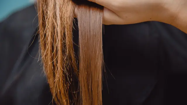 Ilustrasi rambut bercabang