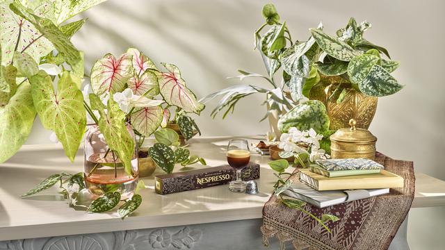 Punya Cita Rasa Unik, Kopi Sumatra Diangkat Jadi Kopi Legendaris Dunia