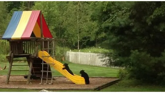 courtesy of dailymail