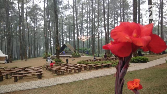 Orchid Forest Cikole