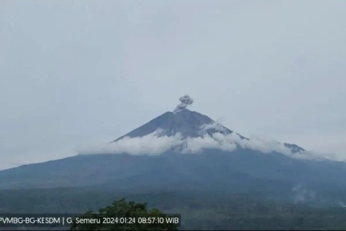 Gunung Semeru erupsi Lagi (Istimewa)