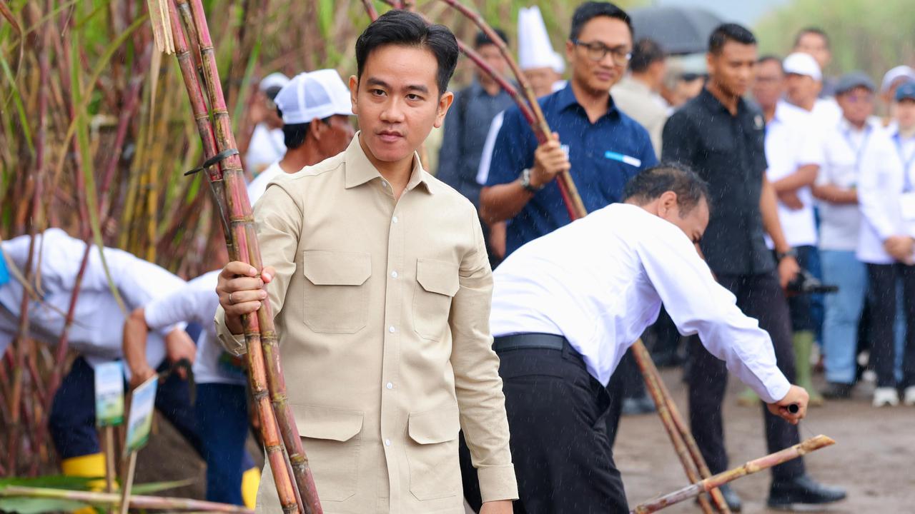 Istana soal Gibran Pimpin Percepatan Pembangunan Papua: Bukan Tugas dari Presiden, Itu Amanat UU