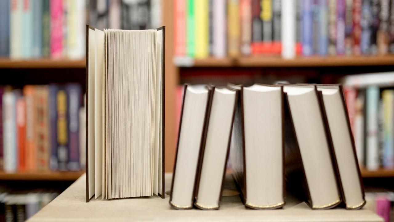 Merayakan Hari Buku Sedunia: Pentingnya Membaca dan Melestarikan Budaya Literasi