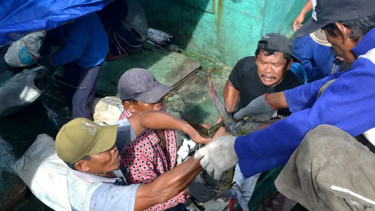 Nelayan bongkar ikan di Tempat Pelelangan Ikan (TPI) PPSC, Cilacap, Jawa Tengah. (Foto: Liputan6.com/Muhamad Ridlo)