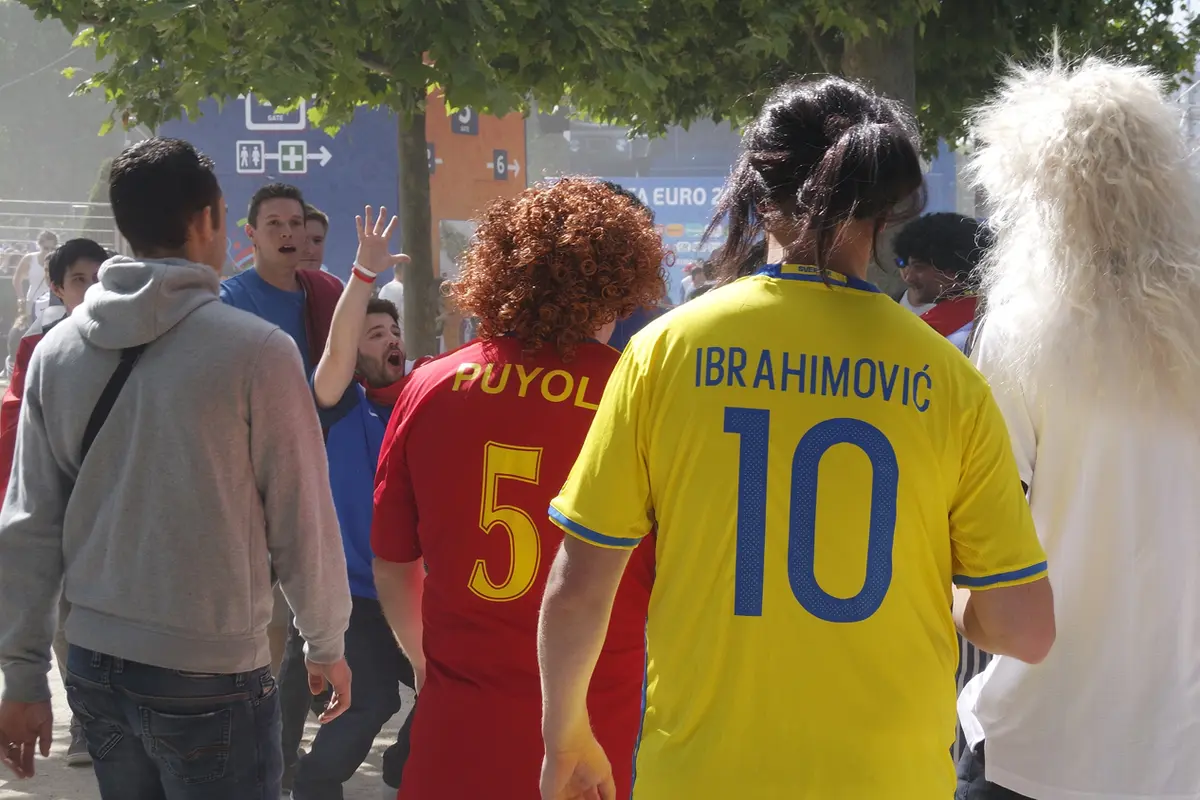 Ibrahimovic Palsu
