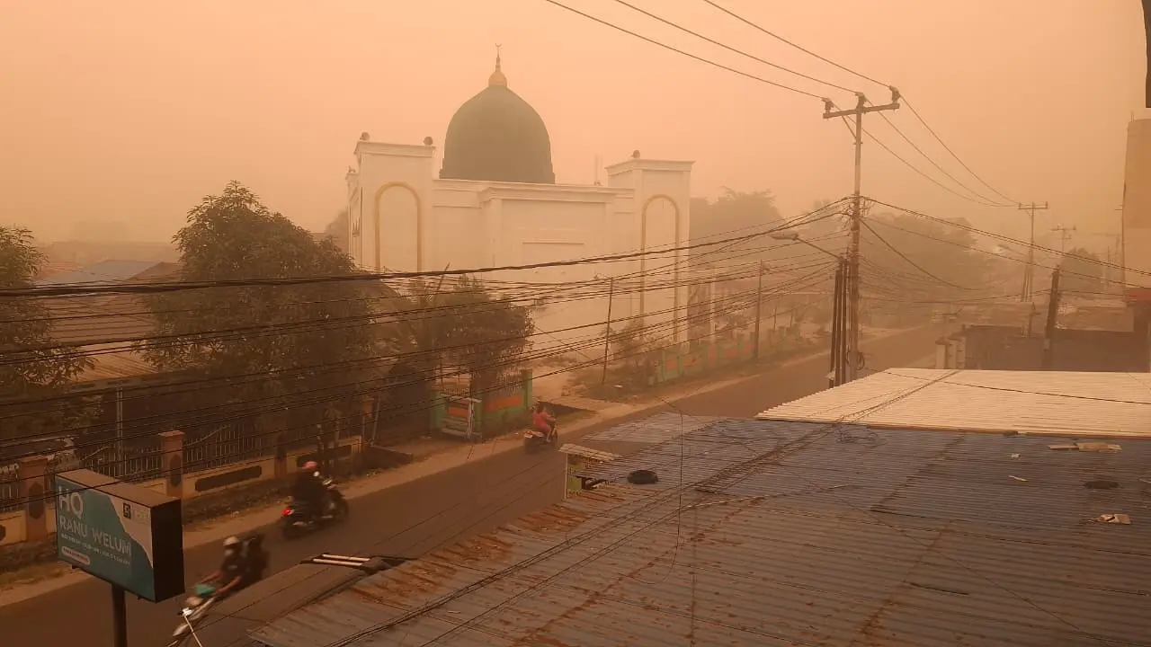 Palangka Raya Kembali Menguning