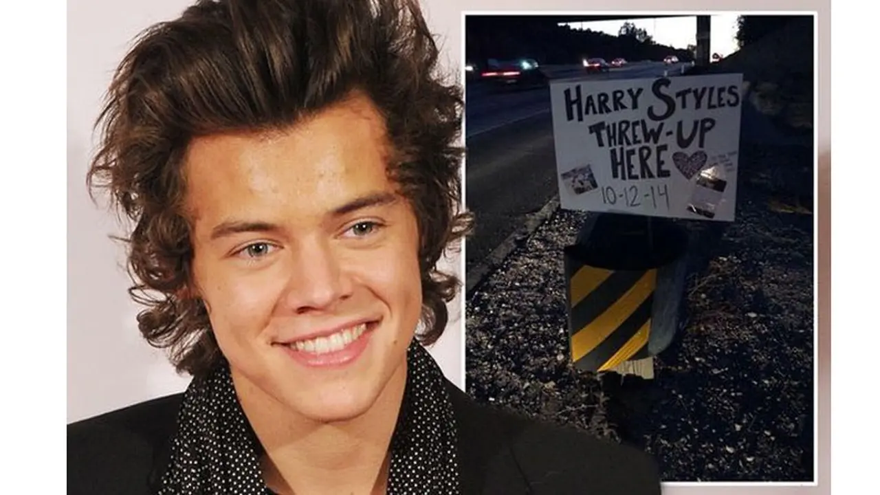 Harry Styles 