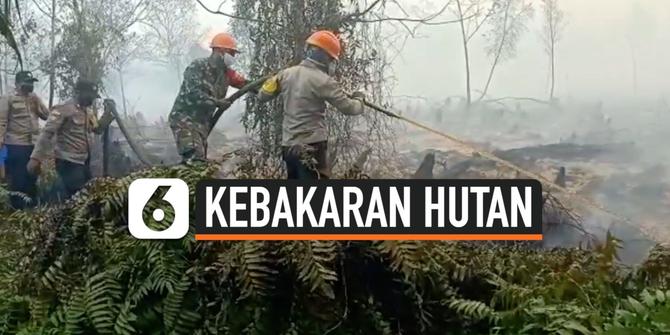 VIDEO: 18 Hektar Lahan Terbakar di Pontianak, Kebakaran Hutan Terus Meluas