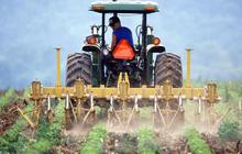 Sebanyak 35.224 Petani Bergabung Asuransi Mikro, Dapat Perlindungan Kecelakaan Hingga Meninggal Dunia