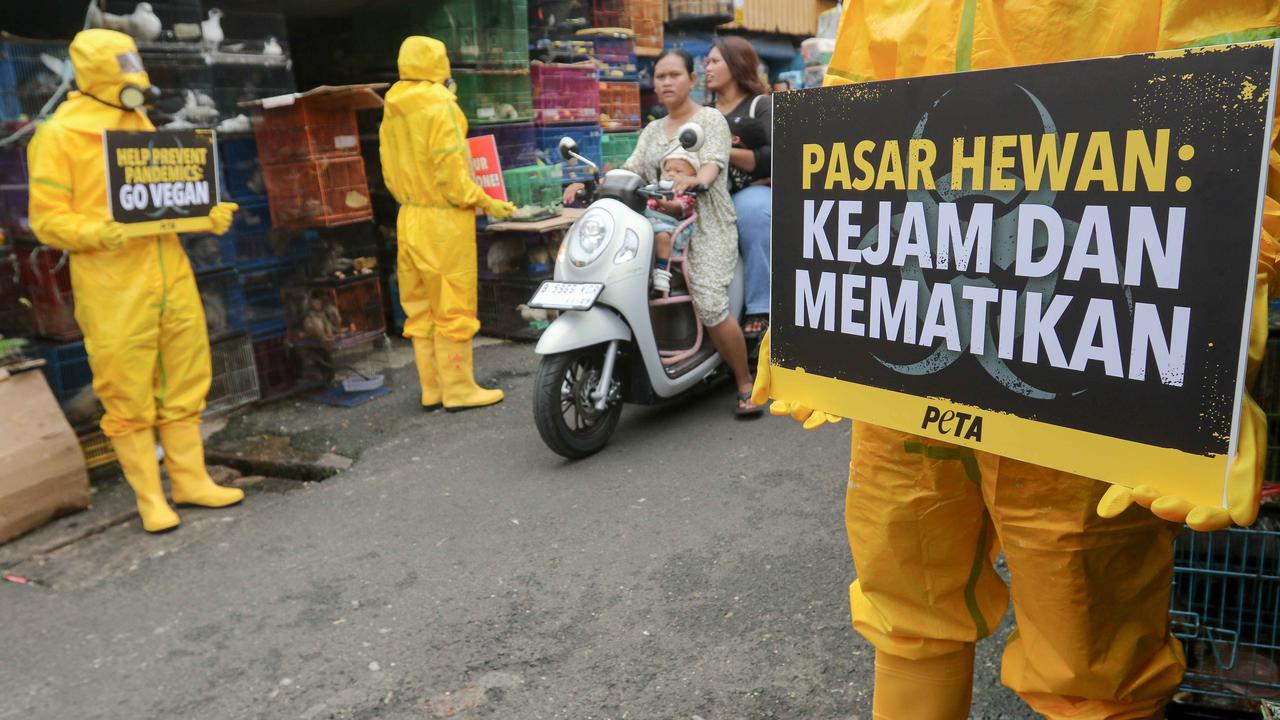 Aktivis PETA demo di Pasar Hewan Jatinegara