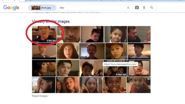 Hasil penelusuran Google Image
