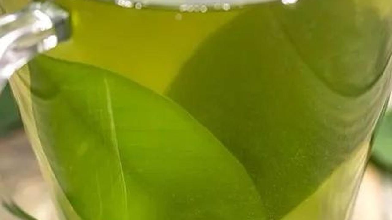 Teh Hijau