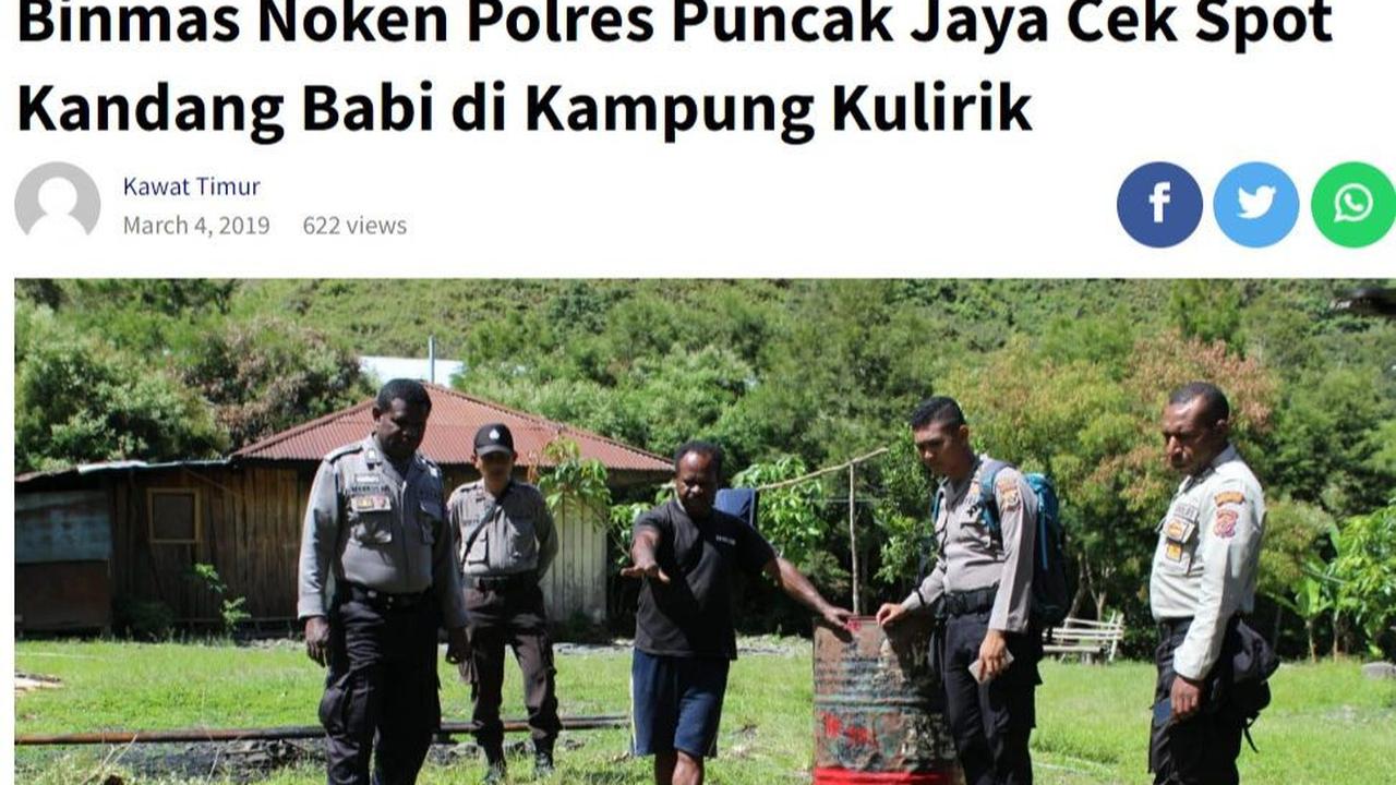 Salah satu gambar pada video tersebut identik dengan gambar yang dimuat artikel kawattimur.id dengan judul "Binmas Noken Polres Puncak Jaya Cek Spot Kandang Babi di Kampung Kulirik" pada 4 Maret 2019.