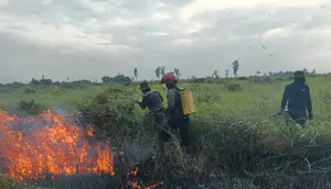 115 Titik Panas Terdeteksi di Lampung