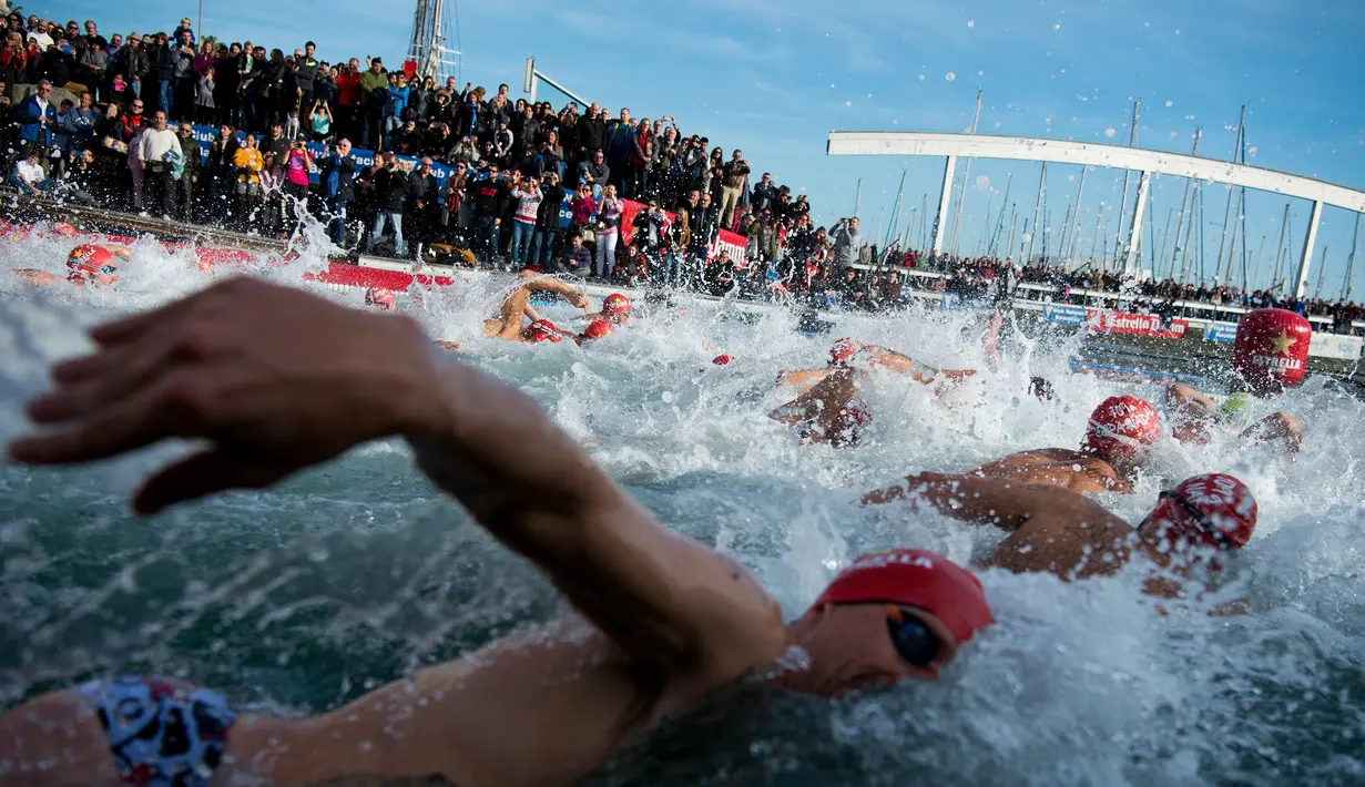 Para peserta bersaing selama kompetisi renang Copa Nadal edisi ke-109 di Port Vell Barcelona, Selasa (25/12). Lebih dari 300 peserta menempuh jarak sejauh 200 meter pada lomba renang tradisional tersebut. (Josep LAGO / AFP)