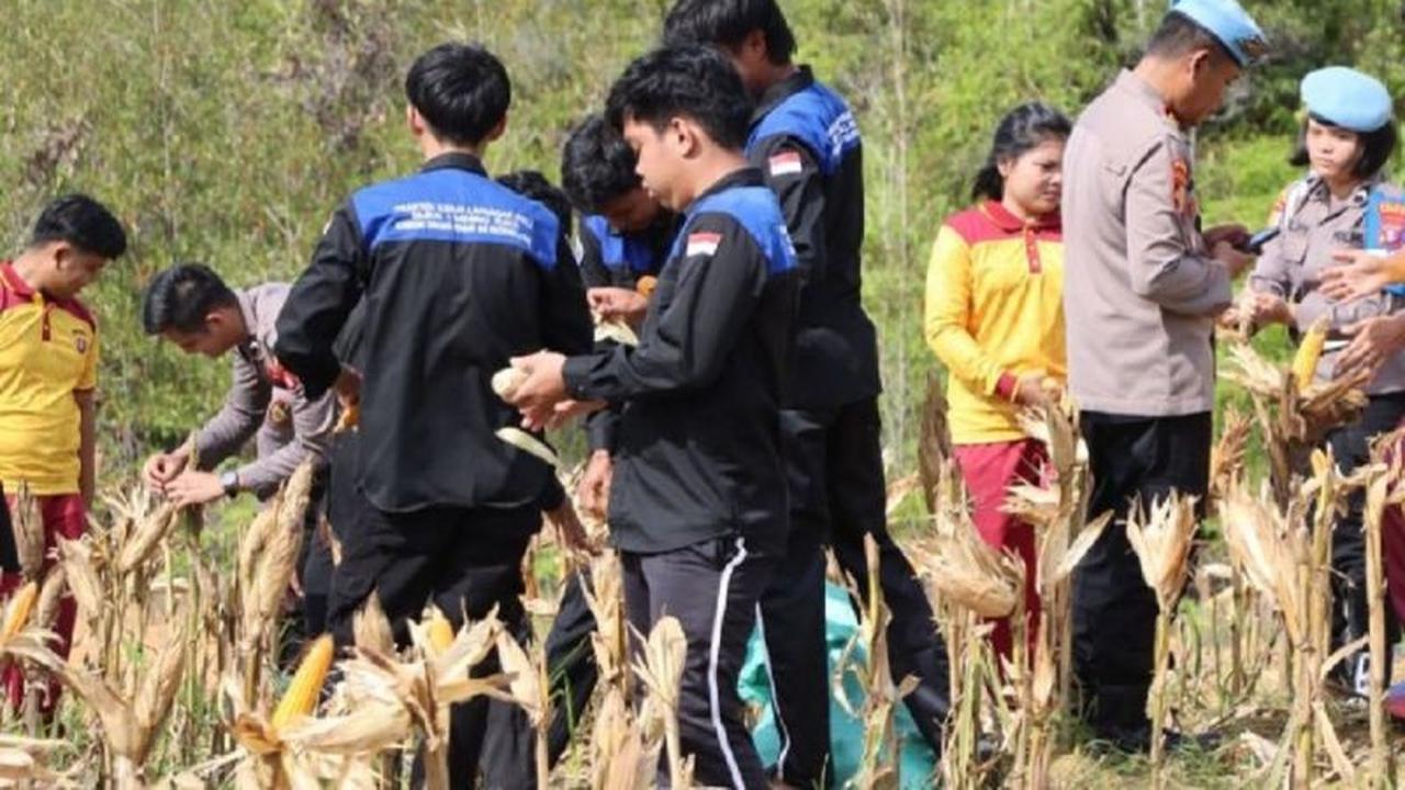 Polres Gumas Libatkan Pelajar SMK dalam Panen Raya Jagung, Pacu Semangat Bertani di Kalimantan Tengah