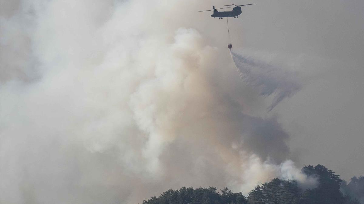 Kebakaran Hutan Hebat Landa Jepang, Ribuan Orang Dievakuasi