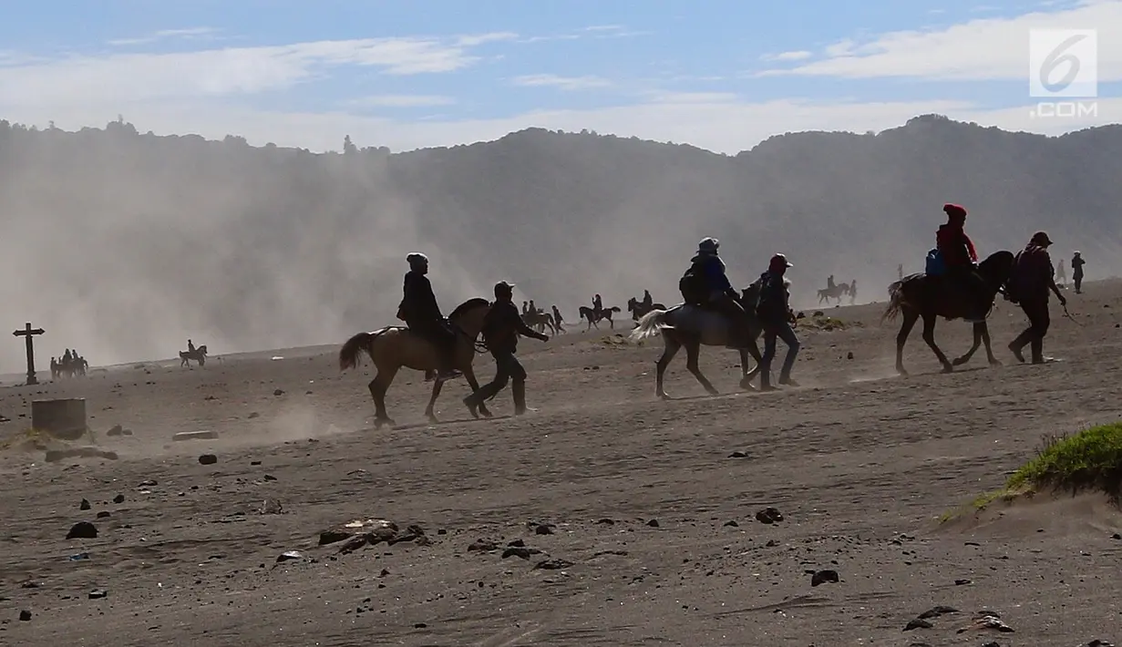 Sejumlah joki berkuda membawa wisatawan ke Gunung Bromo di Taman Nasional Bromo Tengger Semeru, Jawa Timur, Sabtu (4/11). Harga sewa kuda berkisar Rp 100 - 150 ribu. (Liputan6.com/Fery Pradolo)