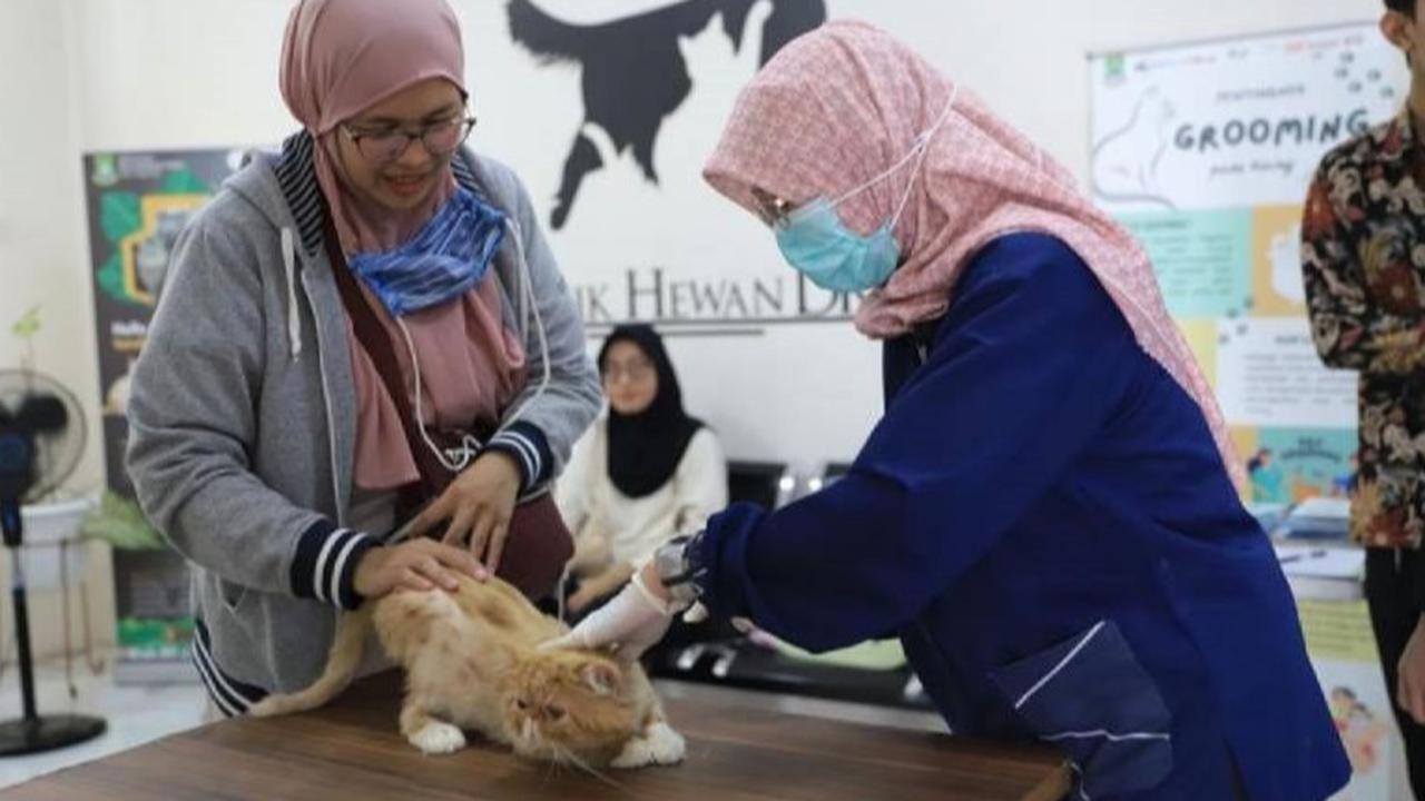 Vaksinasi Rabies Gratis di Tangerang: Lindungi Hewan Kesayangan Anda!