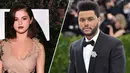 Selena dan The Weeknd saling mengunfollow di Instagram bahkan pemilik nama asli Abel Tesfaye tersebut menghapus semua foto Selena dari akun Instagram pribadinya. (Elle)