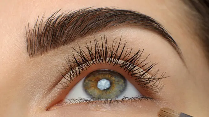 Foto: copyright thinkstockphotos.com