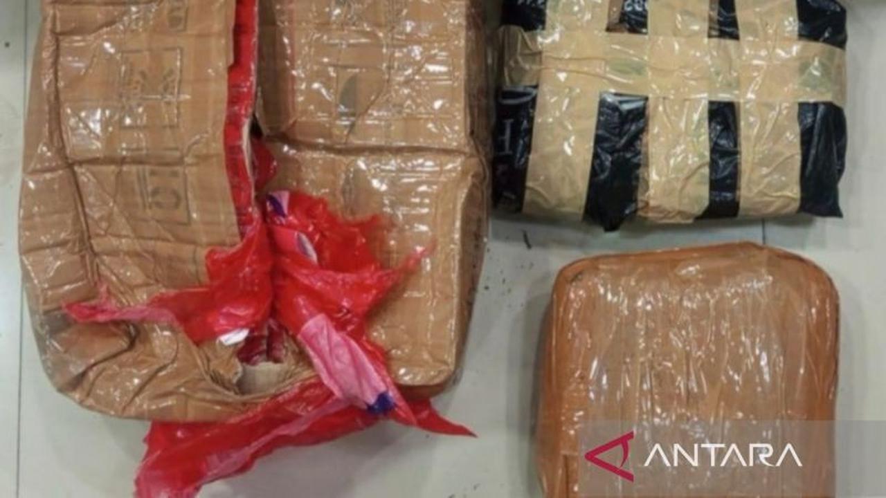 Polda Metro Jaya Tangkap Pengedar Ganja 1,3 Kg di Bekasi, Pelaku Diamankan
