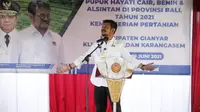 Menteri Pertanian (Mentan) Syahrul Yasin Limpo (Dok. Humas Kementan / Dewi Divianta)
