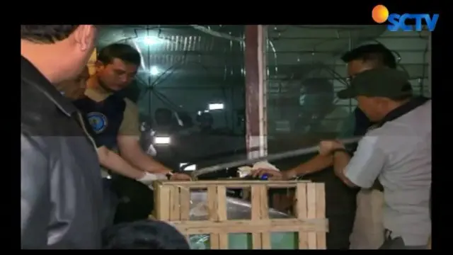 BNN Ciduk 3 Pembawa Sabu 300 Kilogram di Pluit 