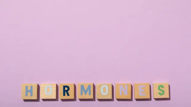 Ilustrasi hormon