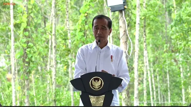 Presiden Joko Widodo (Jokowi) mengaku senang karena ada investor lokal yang ikut serta dalam membangun Ibu Kota Nusantara (IKN).