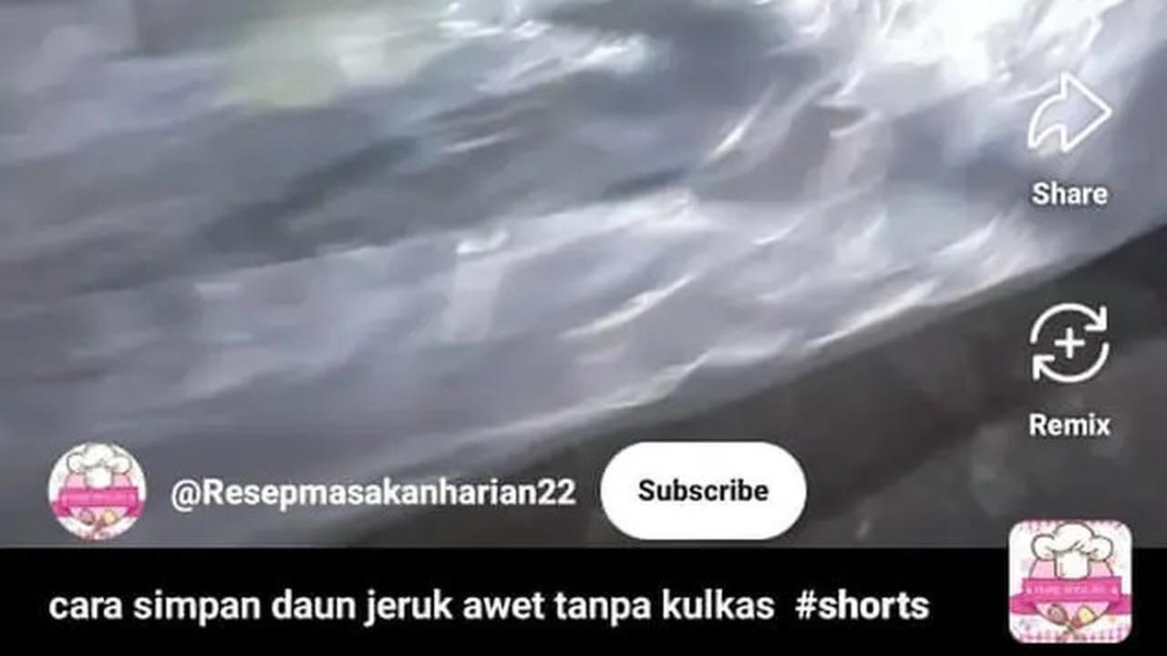 Cara Menyimpan Daun Jeruk agar Tetap Segar hingga Seminggu