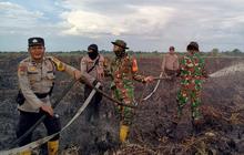 Bakar 10 Hektar Hutan, Tiga Pelaku Mau Tanam Sawit