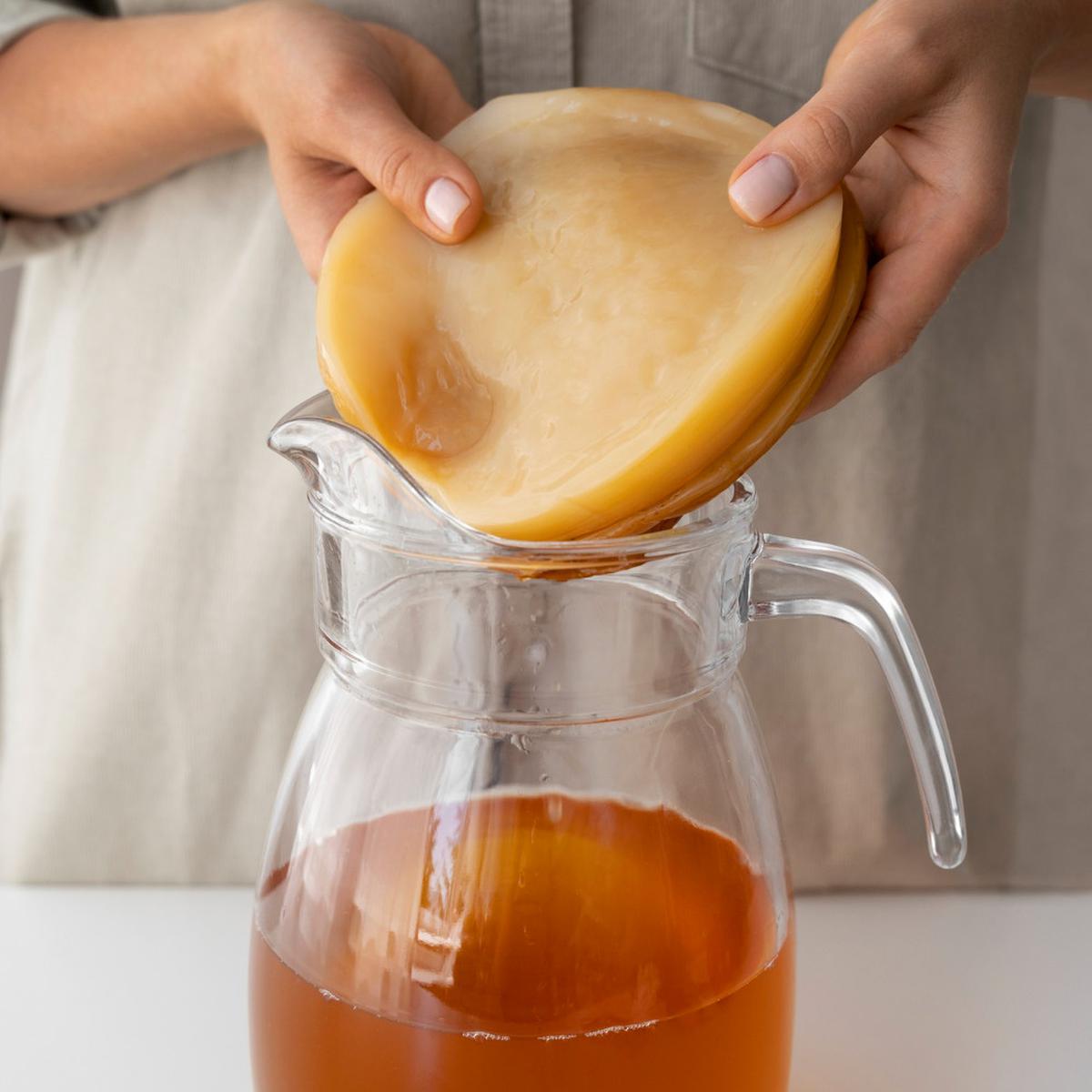 Ilustrasi Kombucha