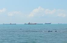 Komisi I DPR: Menarik Pajak di Selat Malaka akan Menimbulkan Konflik Baru