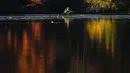 Dedaunan musim gugur memantul di Sungai Androscoggin saat Kathy Thorson mendayung sebuah perahu, di Brunswick, Maine, Amerika Serikat, pada 12 Oktober 2021. Salah satu yang paling khas dari musim gugur adalah pohon-pohon yang berubah warna sebelum gugur. (AP Photo/Robert F. Bukaty)