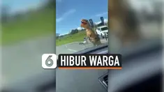 THUMBNAIL T-REX D