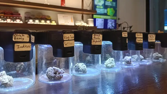 Michi Cannabis Bar, kafe yang menjajakan ganja di daerah Si Lom, Bangkok, Thailand. (Liputan6.com/Maulandy)