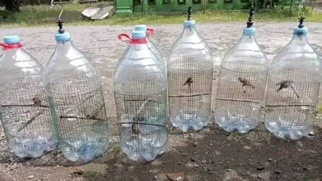 7 Potret Nyeleneh Alih Fungsi Galon Air Ini Kreatif Banget, Jadi Kandang Burung