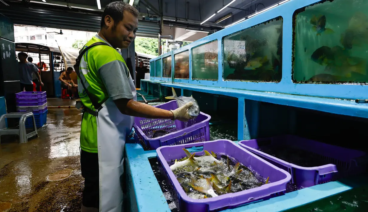 Sekretaris Permanen Lingkungan dan Ekologi Hong Kong Vivian Lau mengatakan pihak berwenang akan memperkuat pengawasan impor makanan bahari yang datang dari Jepang. Selain itu setiap hari pemerintah Hong Kong akan mempublikasikan tes radiasi air laut. (AP Photo/Daniel Ceng)