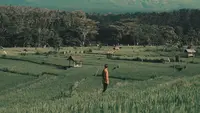 Ilustrasi tenang, kalem, inspirasi. (Photo by Aron Visuals: https://www.pexels.com/photo/photo-of-man-standing-on-grass-field-1694631/)