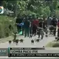 Lomba pacu itik ini dibagi dalam beberapa kategori, yakni 800, 1.000 meter hingga 1.200 meter. Bagi pemenang, disiapkan hadiah motor.